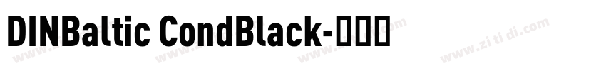 DINBaltic CondBlack字体转换